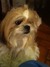 Ipod tuch 373_tiny
